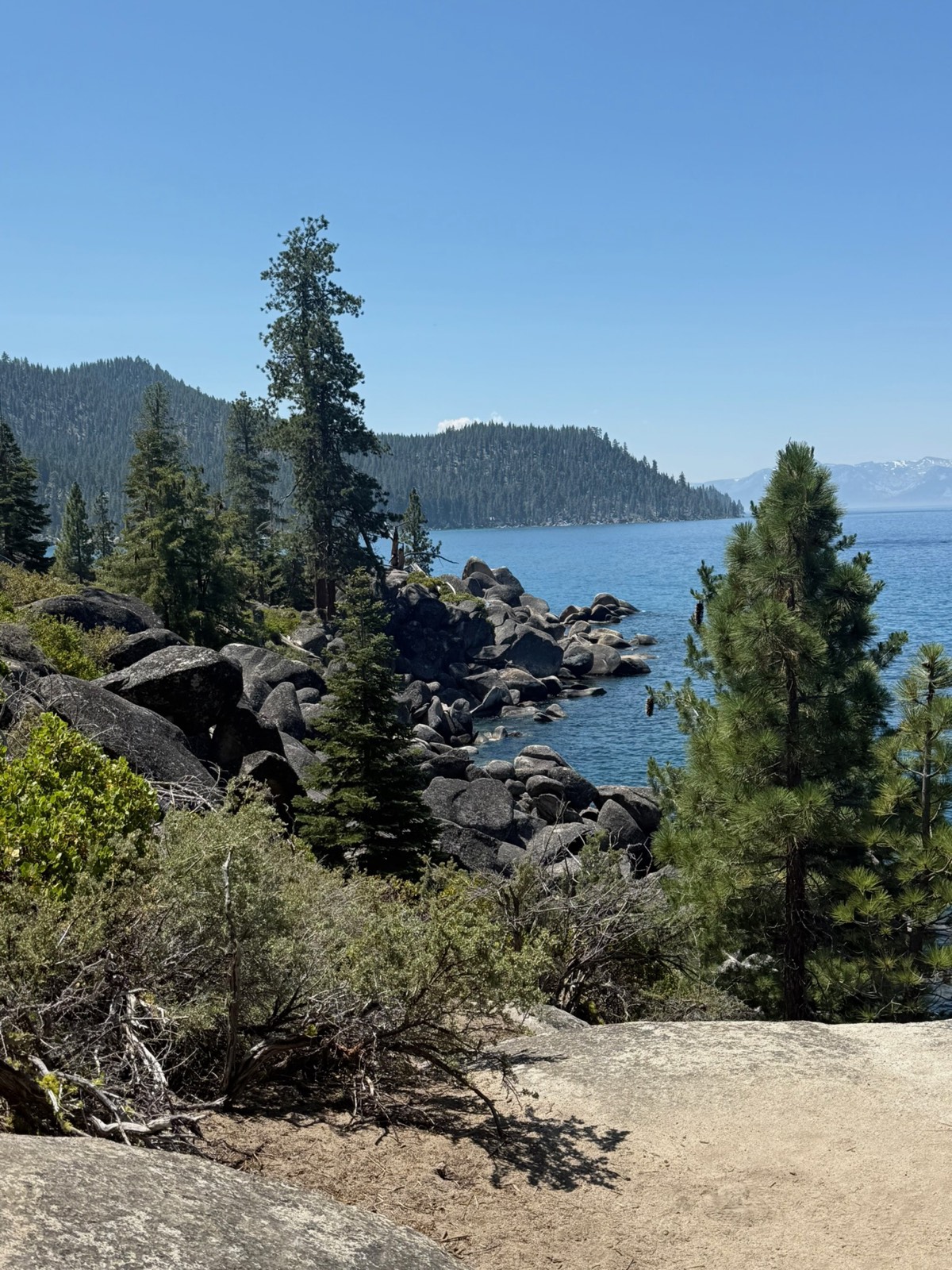 Lake Tahoe shoreline through the trees on the California side